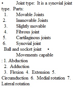 Real Anatomy Assignment